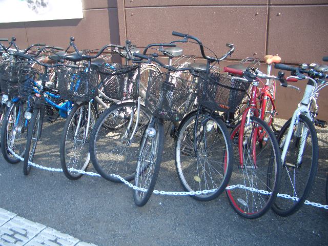 ツツジが咲き、自転車が大量入荷いたしました！！