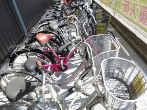 暖かくなってきたらビワイチに行きませんか？自転車大量入荷しました♫