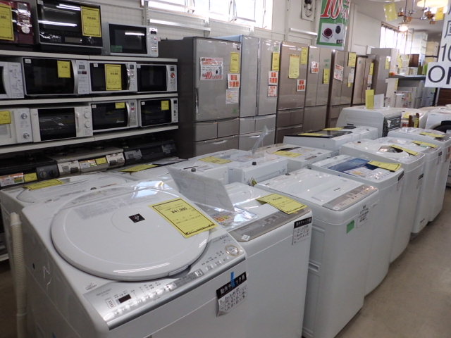 ジャングルジャングルサカイ石津店　新生活応援キャンペーン継続中！冷蔵庫、洗濯機をまとめて買えば１０％off