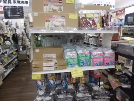 ペット用品大量入荷致しました。【サカイ石津店】