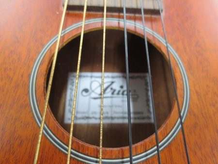 6弦ウクレレを入荷致しました 【滋賀草津店】