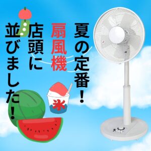 夏の定番！店頭に並びました！【石津店】