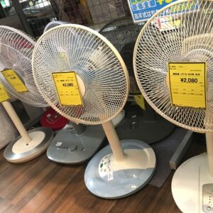 夏の定番！店頭に並びました！【石津店】